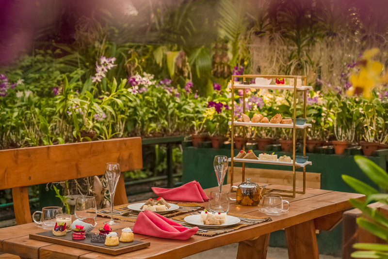 Alternative-Afternoon-Teas_Anantara-Kihavah-Maldives-Villas_Nala-Orchid-Garden